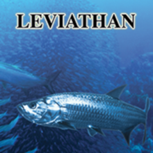 Leviathan - DVD