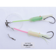 Traces - Grouper LED Flasher